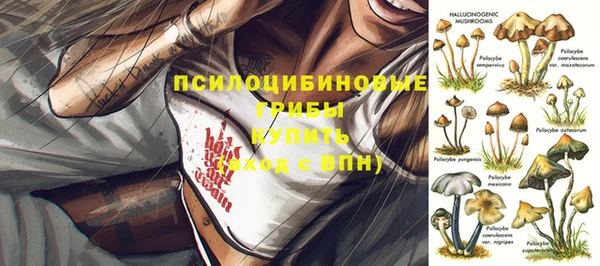 мдпв Верея
