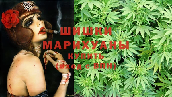 мдпв Верея