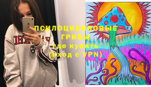 мдпв Верея