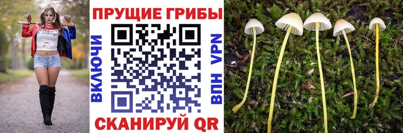 Псилоцибиновые грибы мицелий  купить наркотики цена  Оханск 